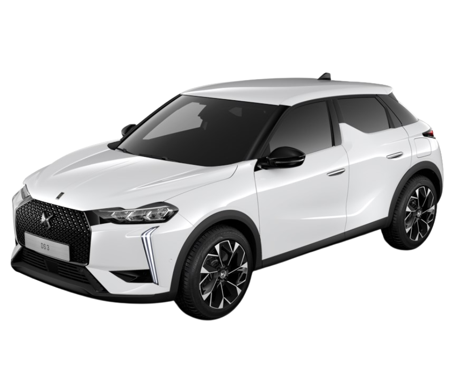 DS3