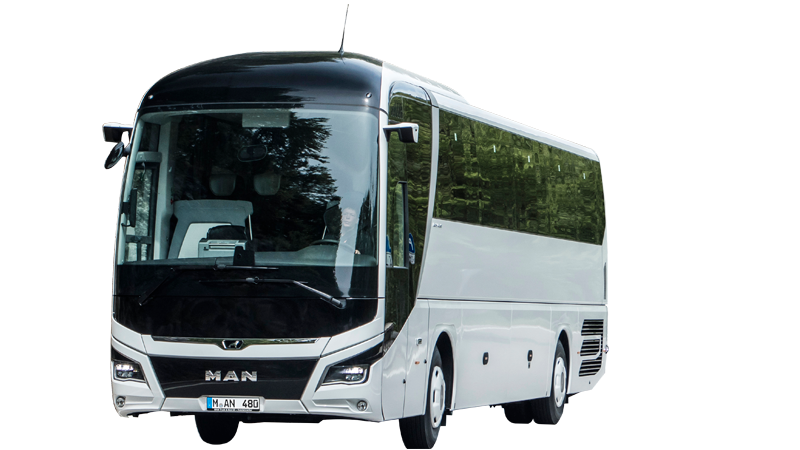 LION'S COACH